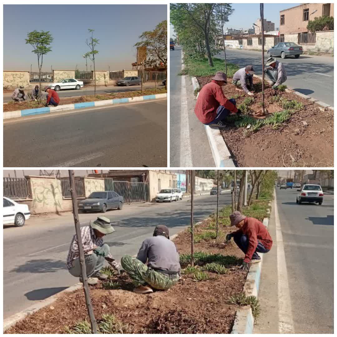اجرا بازپیرایی فضای سبز معابر شهری