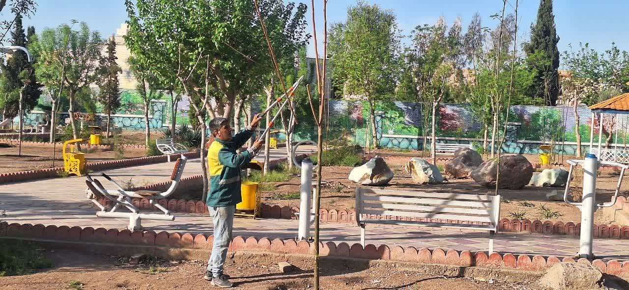 شهردار خبر داد؛ آغاز عملیات اجرای حذف سرشاخه های خشک درختان سطح شهر فرون آباد