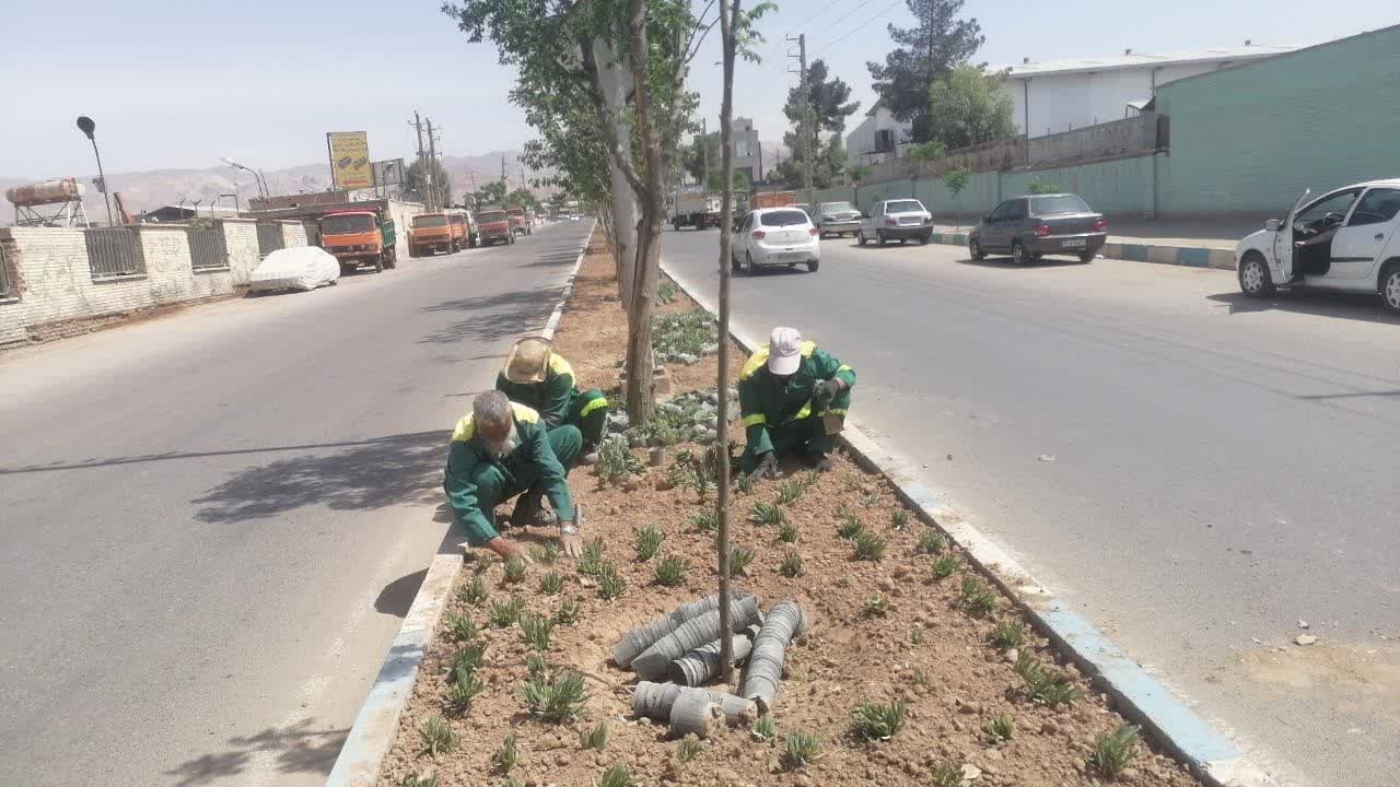  شهردار خبر داد؛ عملیات گل‌کاری و زیباسازی مناظر اصلی شهر فرون آباد ادامه دارد