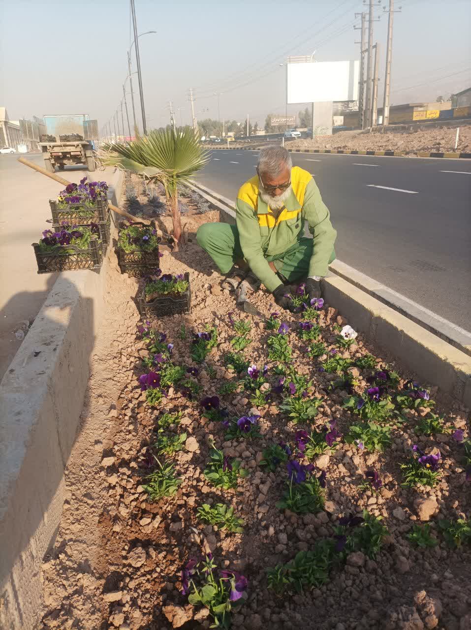شهردار خبر داد؛ آغاز زیباسازی معابر شهری فرون آباد با گل‌های پاییزه