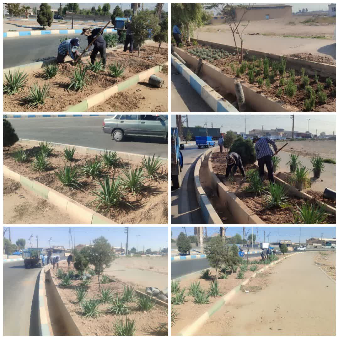   کاشت گل و گیاه و درخت در معابر